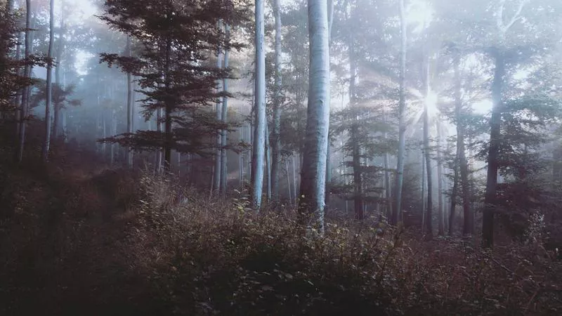 Bình Dương vươn mình thành "Thung lũng Silicon" mới của Việt Nam: Khởi công nhà máy bán dẫn CT Semiconductor trị giá triệu đô