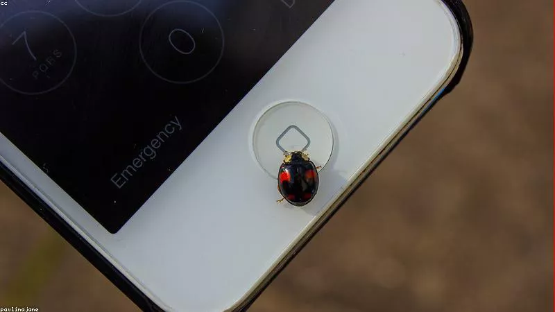 Kịch Bản Nào Cho Tương Lai?