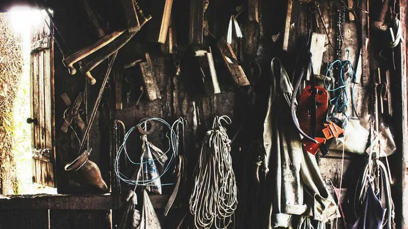 Khám Phá Thêm: Lưu Lại Lịch Sử Tìm Kiếm Và Những Mẹo Nâng Cao