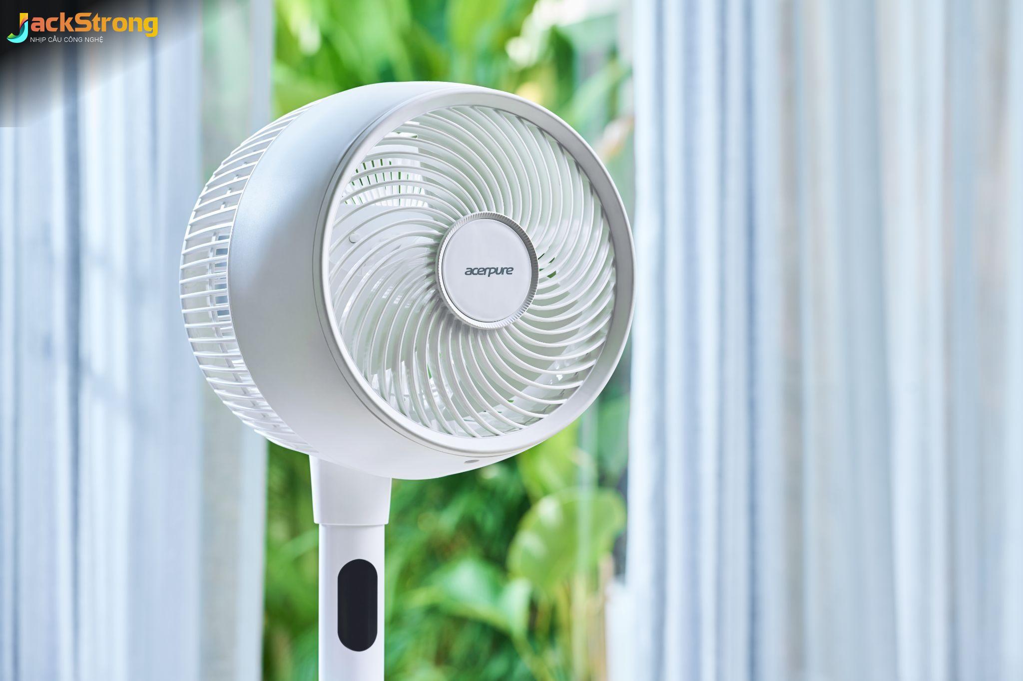 Nỗ Lực Tuyệt Vọng: Tìm Kiếm 
